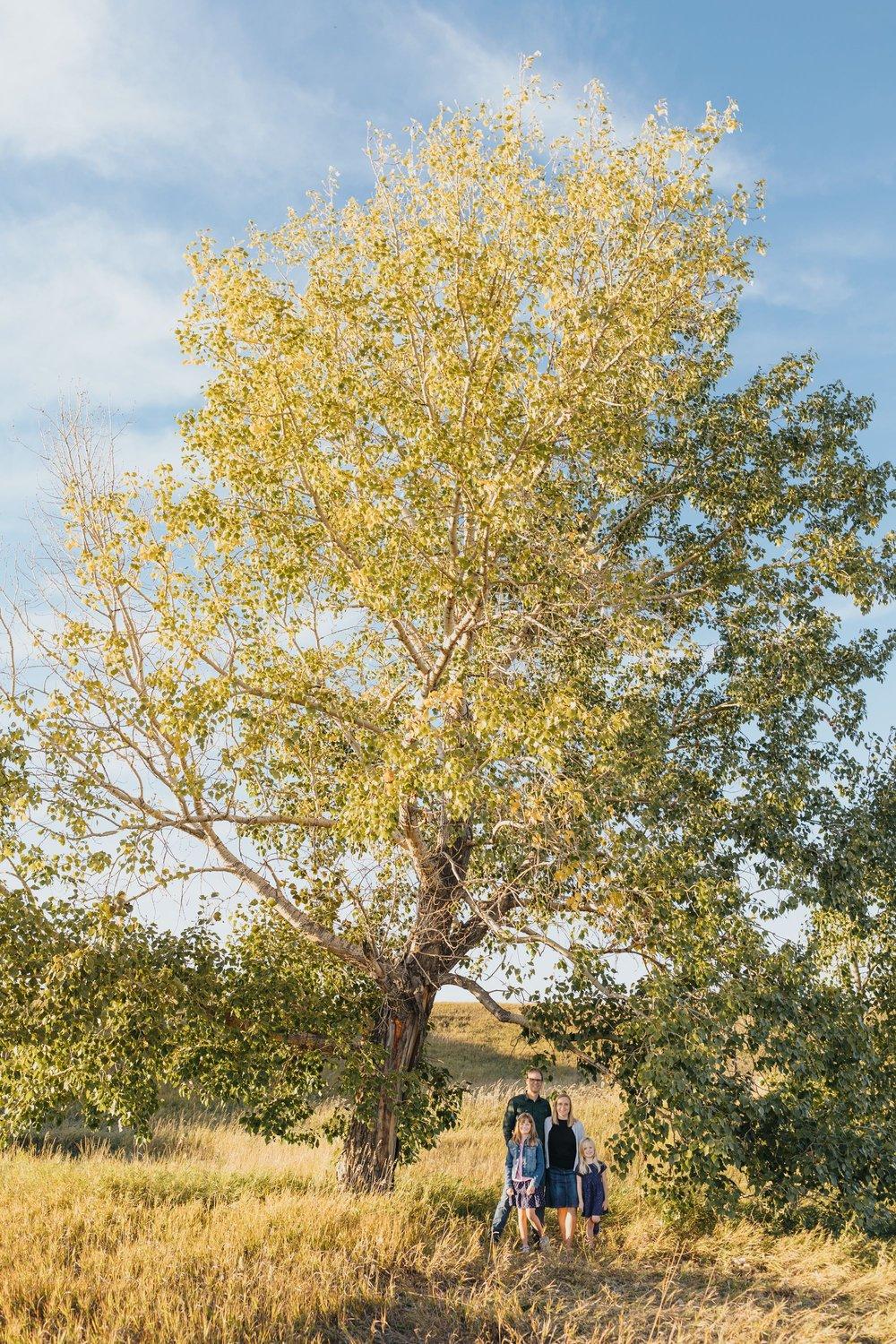 carousel-hero-element image-3