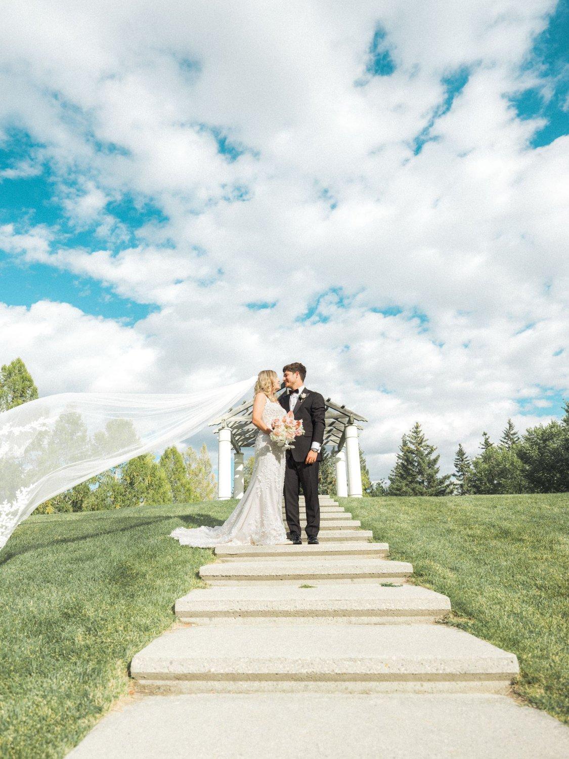 carousel-hero-element image-12