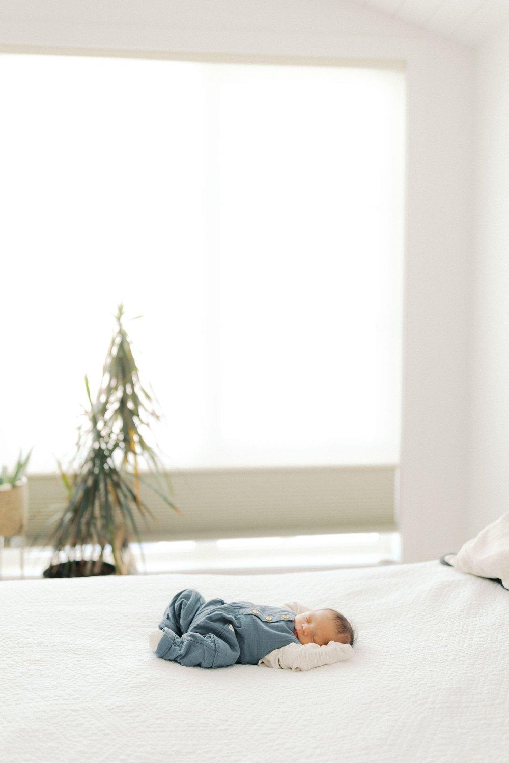 carousel-hero-element image-1