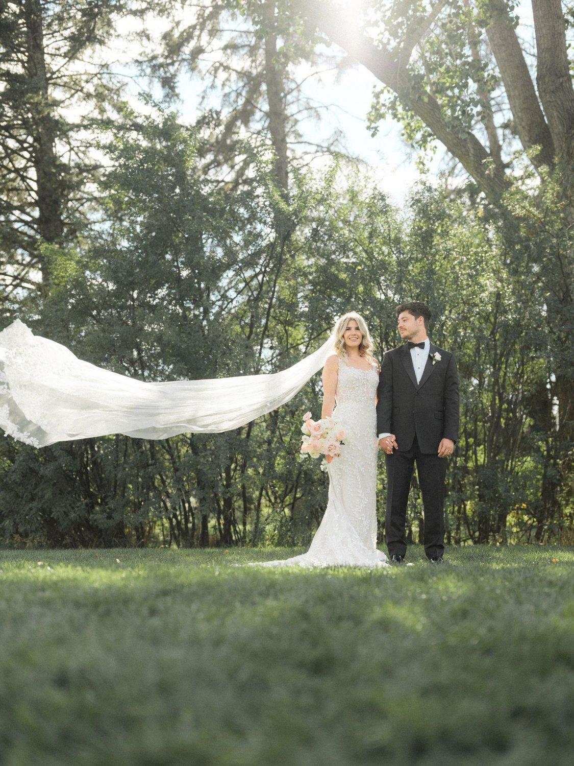 carousel-hero-element image-8